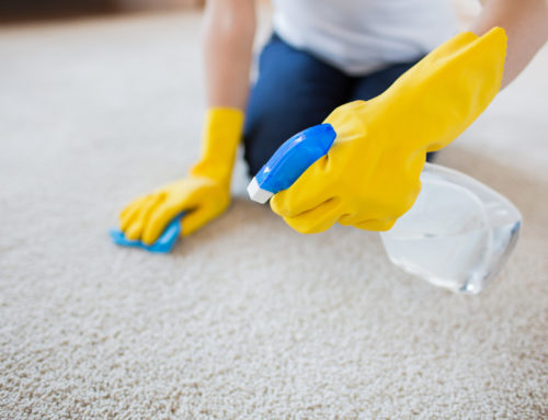 Effective Strategies for Removing Stubborn Stains from Upholstery