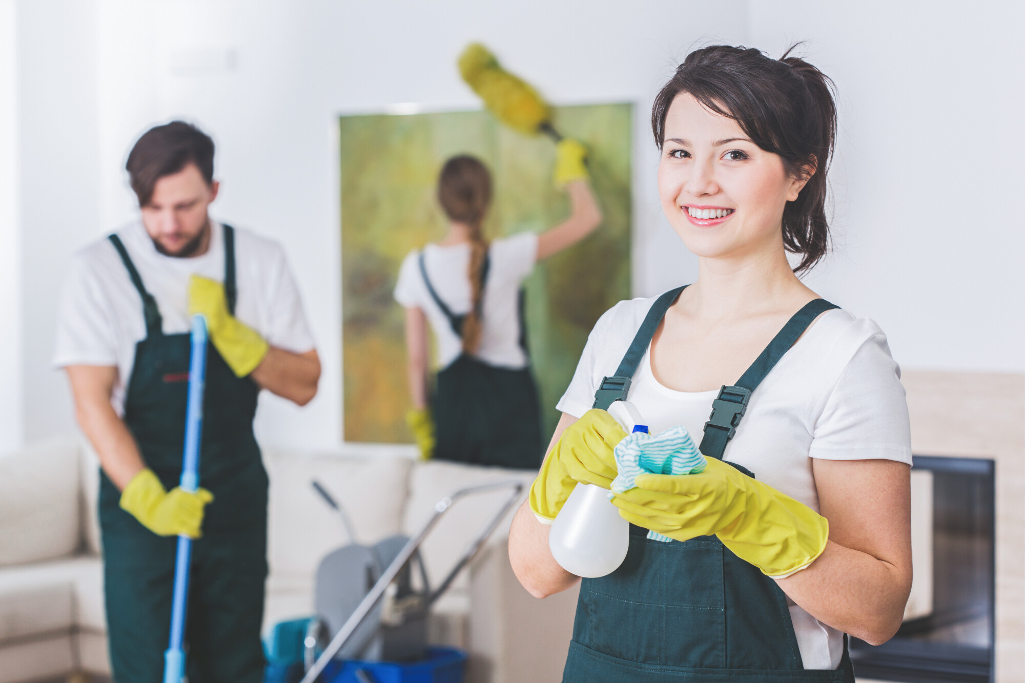 professional house cleaning company