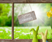 Deep Cleaning vs. Standard Cleaning in Richmond, VA 10 eco friendly spring cleaning