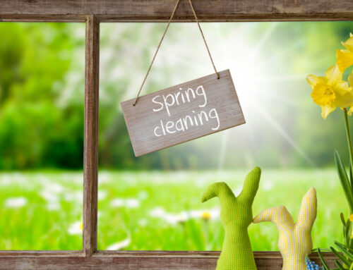 Professional House Cleaners Can Help You Reach Your Spring Cleaning Goals Quickly